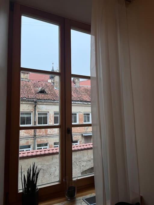 Vilnius Old Town Coziness Apartment Luaran gambar